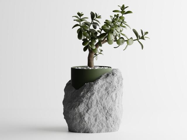 Serie Geologica
